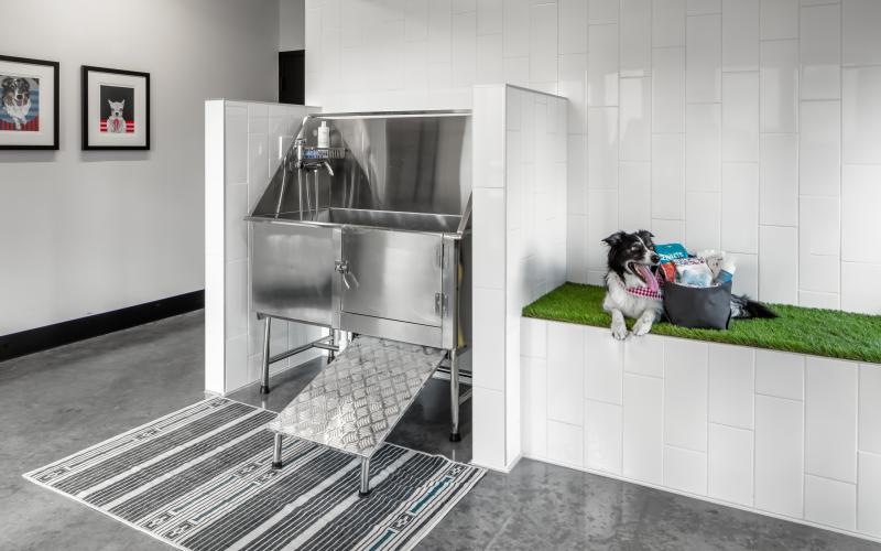 a dog sitting on a mat in a kitchen